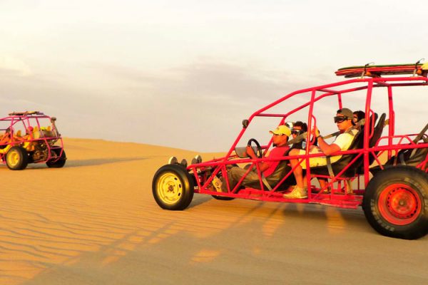 Tour Paracas e Ica Full Day